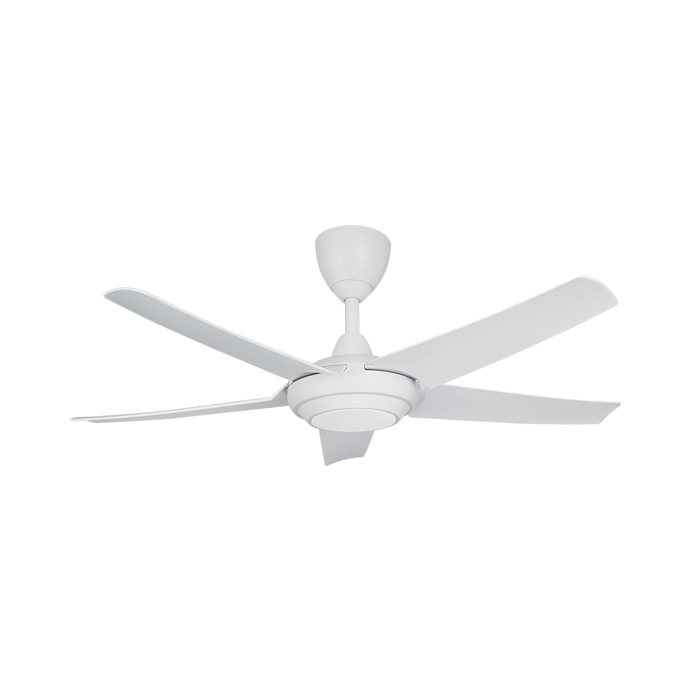 CX20-5B/46 LED